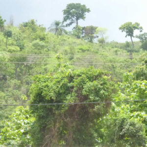 Togo/ Le gouvernement veut renforcer la protection des forêts et des ressources naturelles
