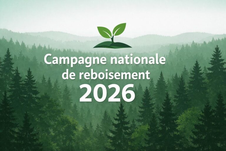 Togo/ Une nouvelle campagne de reboisement pour renforcer la protection de l’environnement